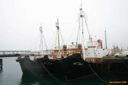 Where has the fourth one gone?