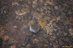 Snow blown on one side of the rocks only