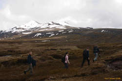 Jonas, Iveta, Arnar and Viðar