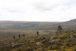 Arnar, Bjöggi, Viðar and Matt