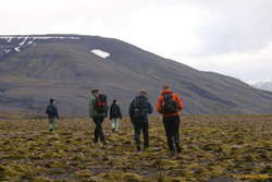Milling about on the heath