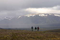 Jonas, Iveta and Matt