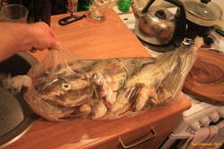 Thanks Bjöggi! Guess it's fish experimentation week!