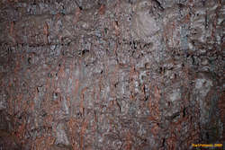 Red and grey dribbles