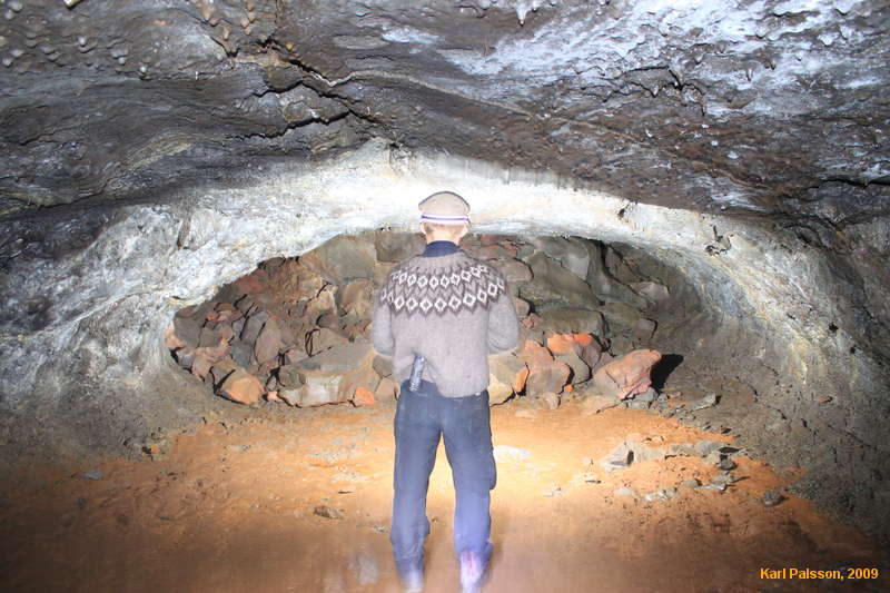 Viðar in Vörðuhellir