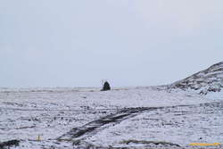 Not quite enough zoom to read the sign from back here