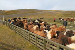 Bringing in a new batch to sort