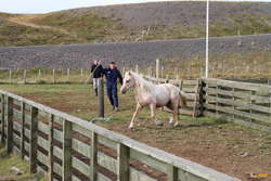 The one that jumped out and away