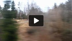 Sometimes houses and clearings