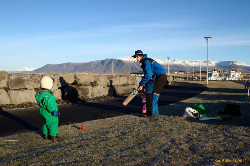 Lee playing cricket