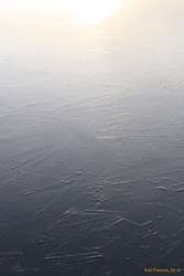 Patterns in the ice, Tjörnin