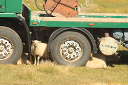 Admiring the view from the balcony