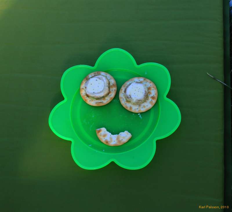 Grilled mushroom and cream cheese man