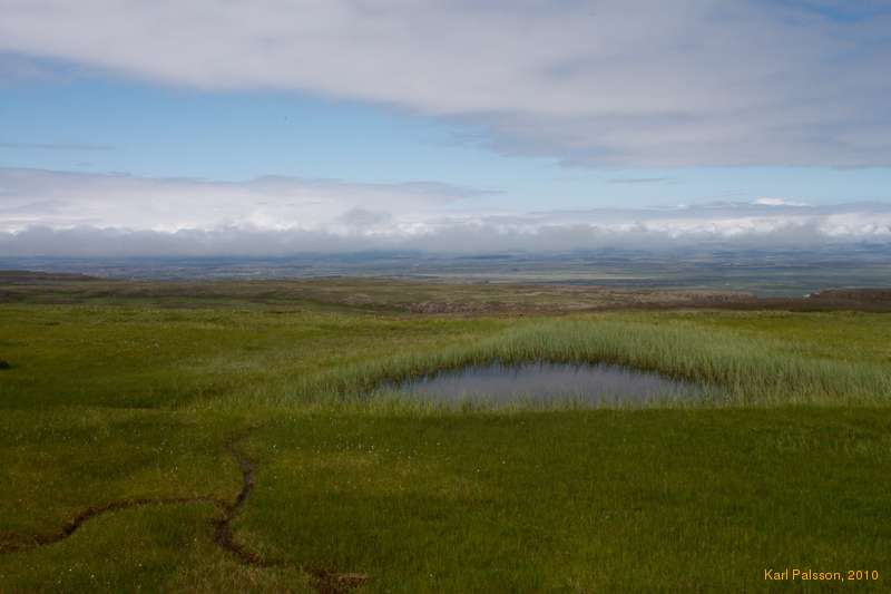 Pond along the path