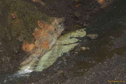 Funky coloured sedimentation