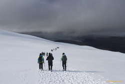 Strolling along in the sunshine