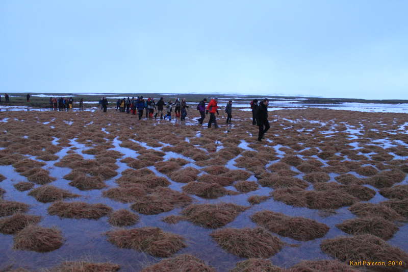 The sodden tussocks of Geitafell