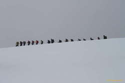 Snow white and the 16 dwarves