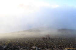 Rising into sunshine