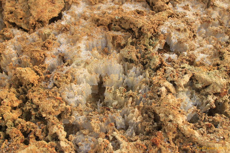 Grass ice, or subsistence ice, or whatever you want to call it, it's neat.