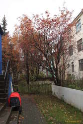 Autumn in the garden