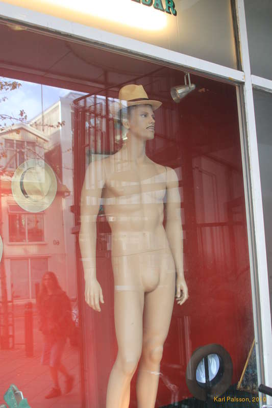 I don't need clothes, I have a moustache _and_ a hat.