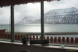 View from the living room window