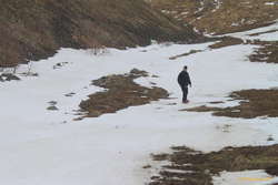 Dedicated snowboarder