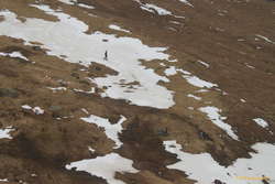 Really pretty desparate...