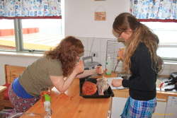 Women with knives...