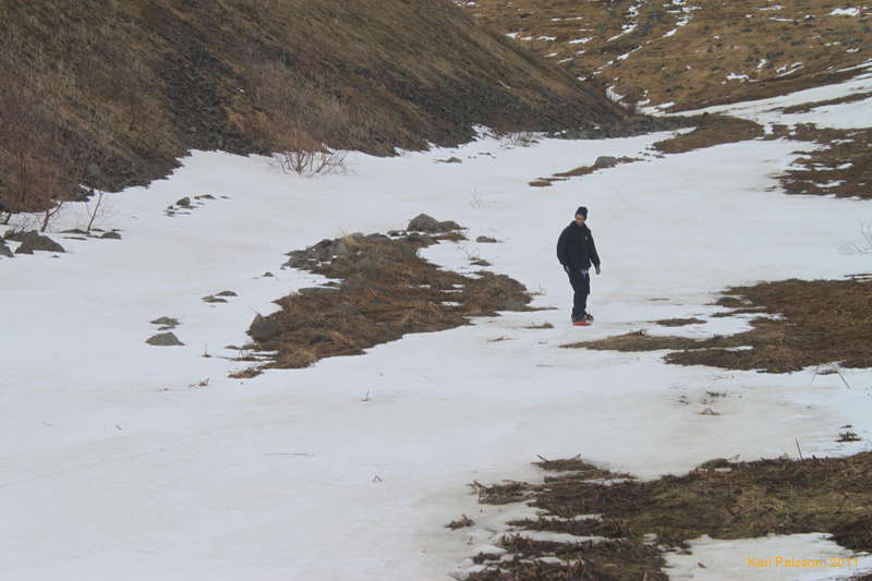 Dedicated snowboarder