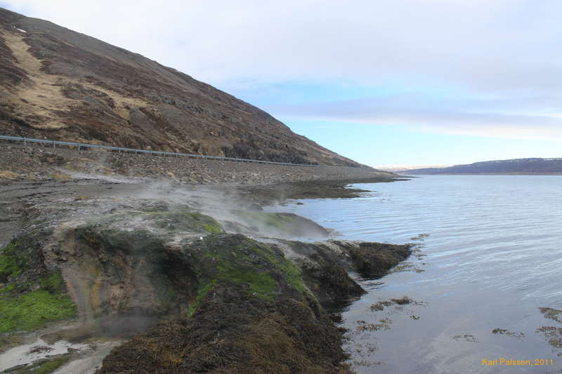 Hot spot exposed by low tide