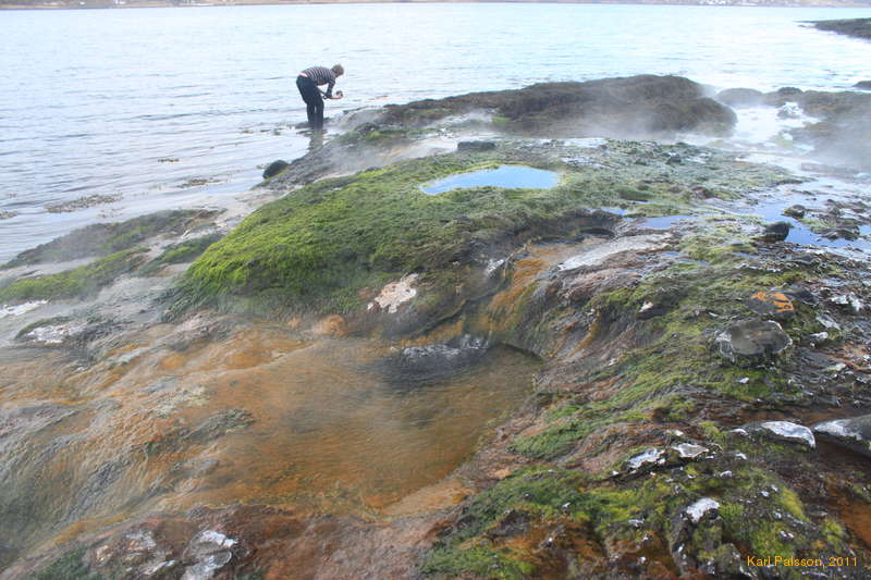 Greens and blues and oranges