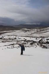 Logi in the sunshine