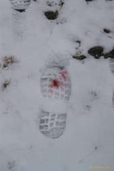 So, what did we step on?