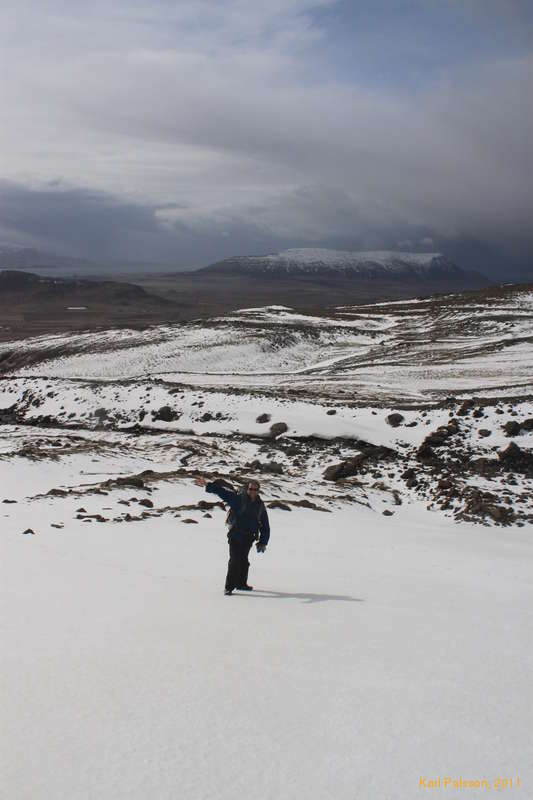 Logi in the sunshine