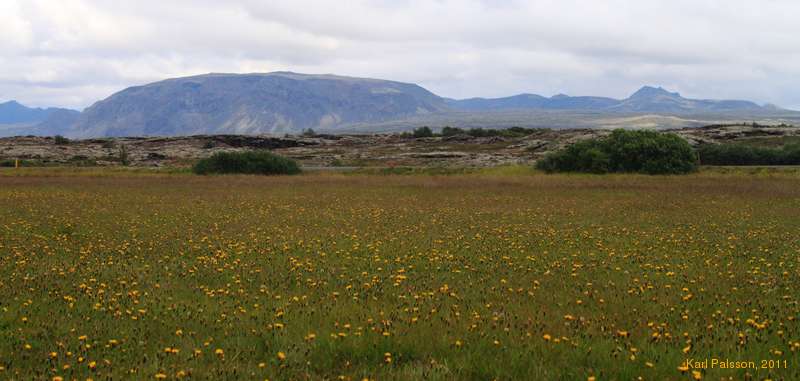 Looking towards Hrafnabjörg