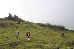 Abi, Sveinbjörn and Davis going up