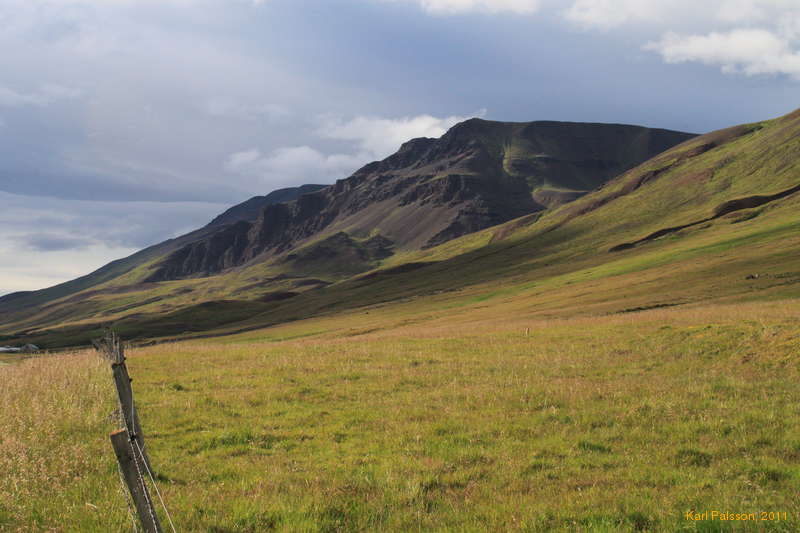 Lovely sunny afternoon