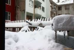 Looking out the front door