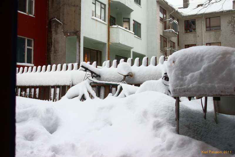 Looking out the front door
