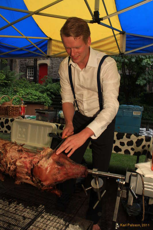 Bjöggi looks for some tasty cheek