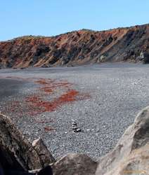 Red and Black on Grey