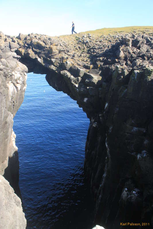 Along the coast near Arnarstapi