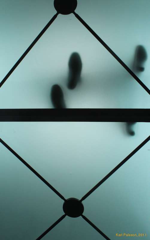 Perspective, Alþingi