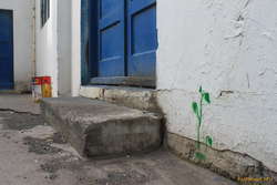 Plants made of paint