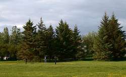 Fly fishing lessons in the park