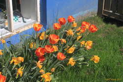 A sunny day is always good