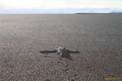 Viðar takes a break