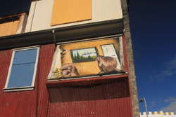 Looking in a window?